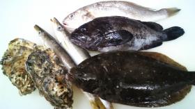 鮮度抜群です。